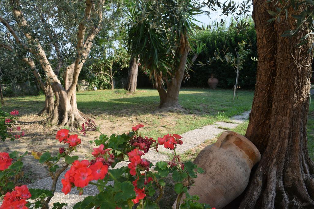 La Convenienza Bed & Breakfast Uliveto Terme Екстериор снимка