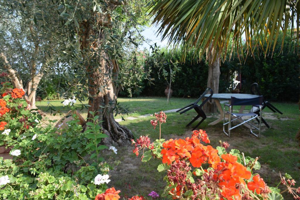 La Convenienza Bed & Breakfast Uliveto Terme Екстериор снимка